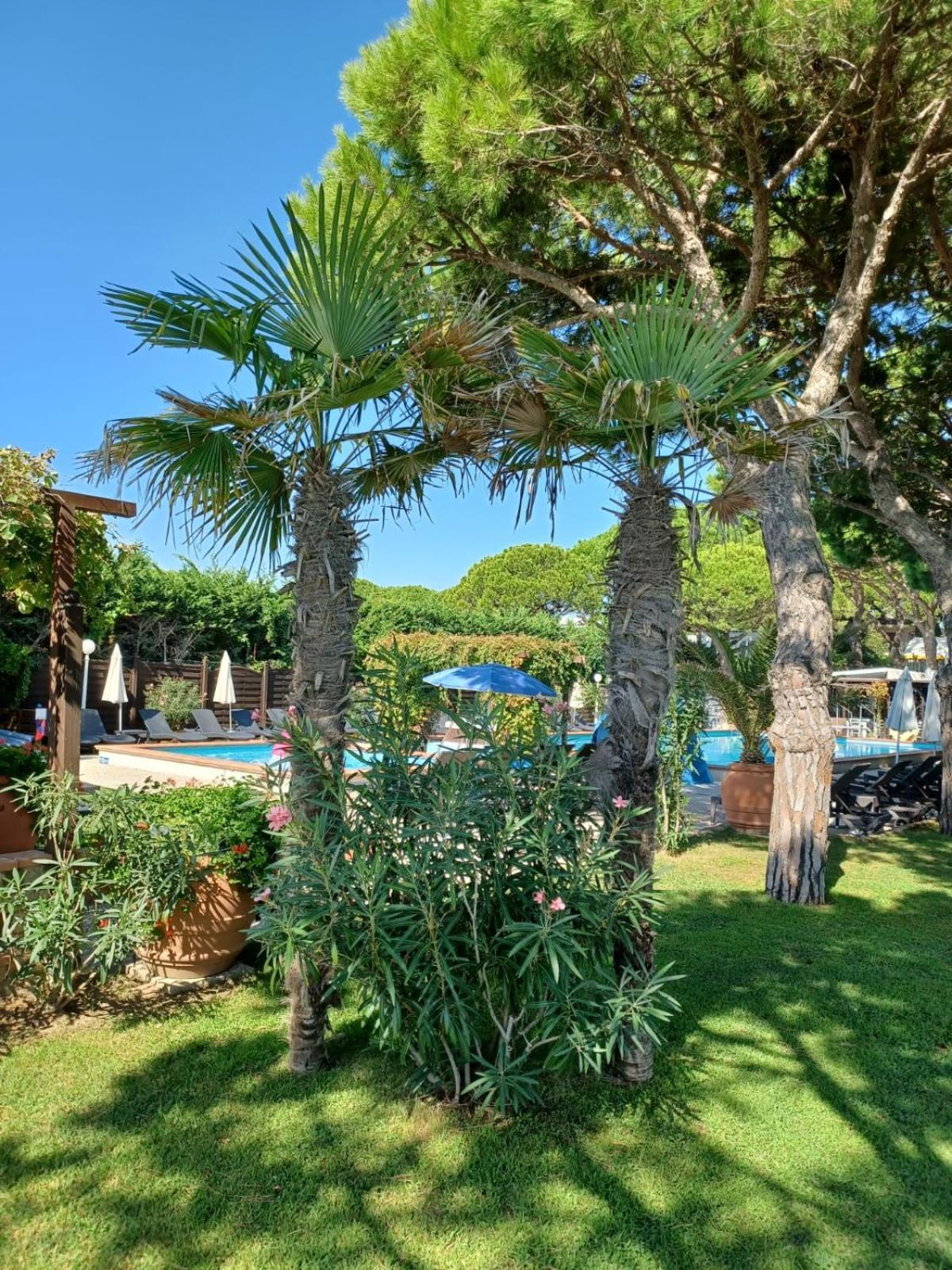 Hotel Vina Del Mar Pineta Lido di Jesolo Eksteriør bilde